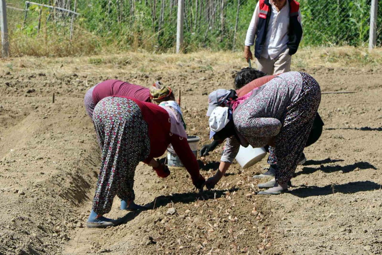 UNESCO DÜNYA MİRASI LİSTESİ'NDE YER ALAN KARABÜK'ÜN SAFRANBOLU İLÇESİNDE, KİLOSU 600 BİN LİRAYA...