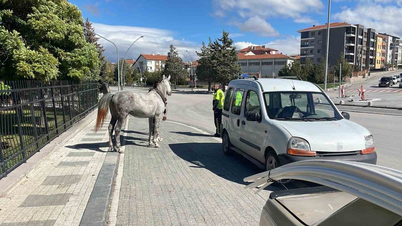 KARAMAN'DA BAĞLI BULUNDUĞU YERDEN KAÇARAK YOLA ÇIKAN AT, SEYİR HALİNDEKİ OTOMOBİLE ARKADAN...