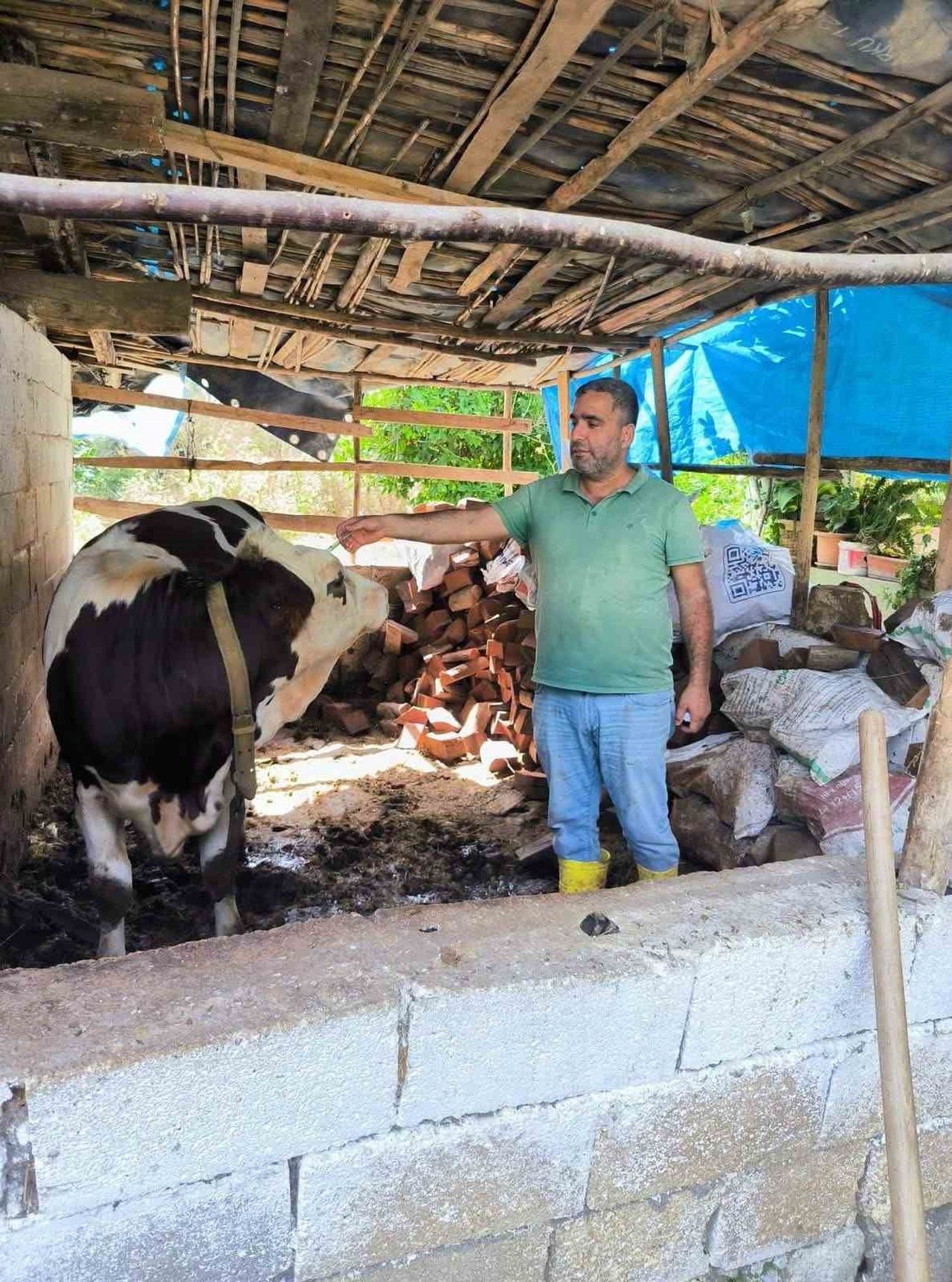 HATAY’DA VETERİNER HEKİMLER TARAFINDAN SAT-1 VARYANTI ŞAP HASTALIĞINA KARŞI KORUYUCU AŞILAMA...