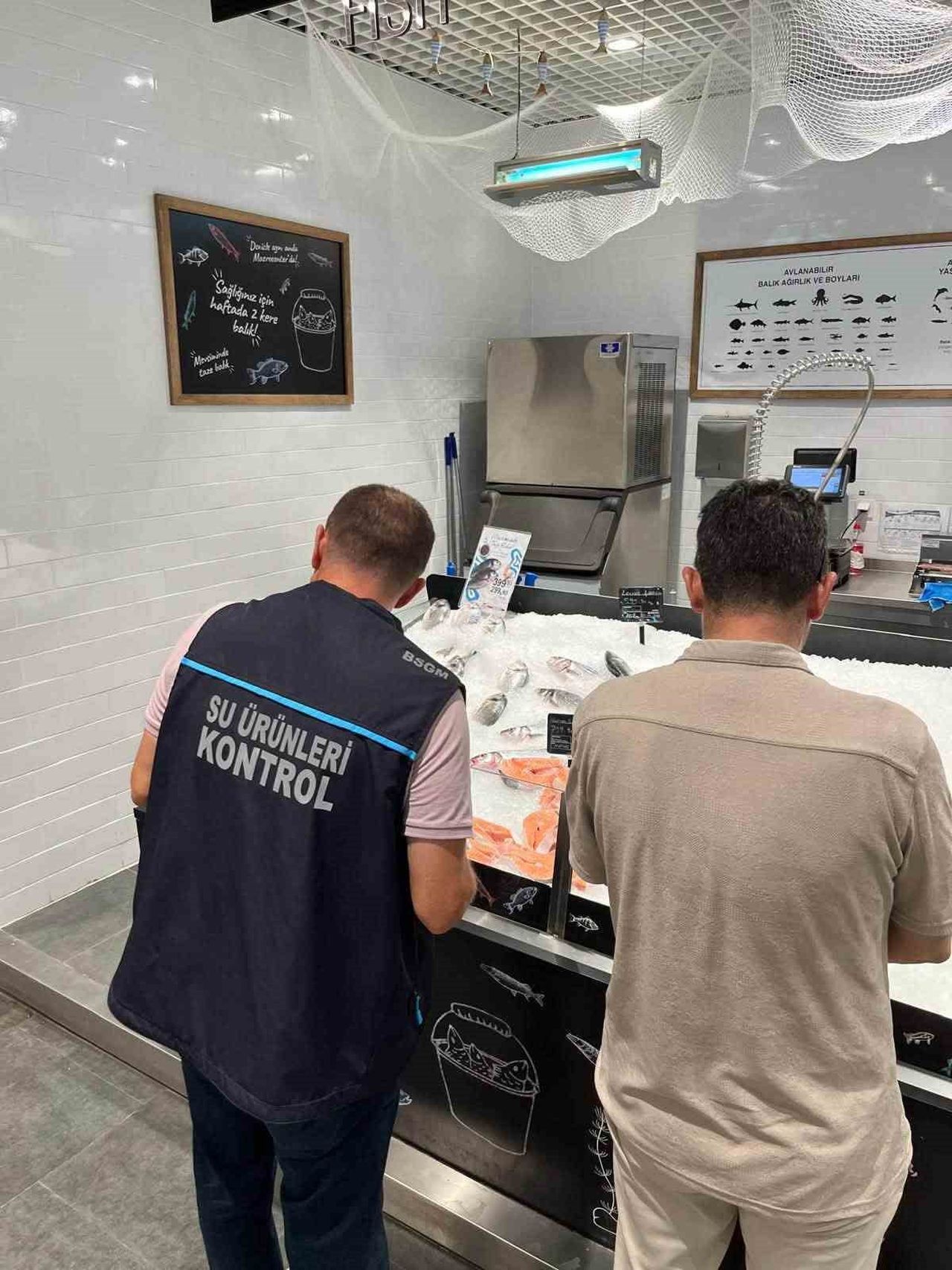 AYDIN'IN DİDİM İLÇESİNDE PERAKENDE SU ÜRÜNLERİ SATIŞI YAPAN İŞLETMELER, İLÇE TARIM EKİPLERİ...