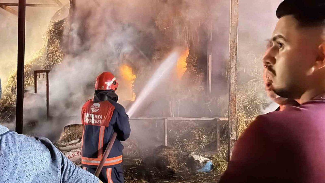 SAKARYA’NIN ADAPAZARI İLÇESİNDE SAMANLIKTA ÇIKAN YANGINDA BİNLERCE SAMAN BALYASI KÜL OLURKEN 4...