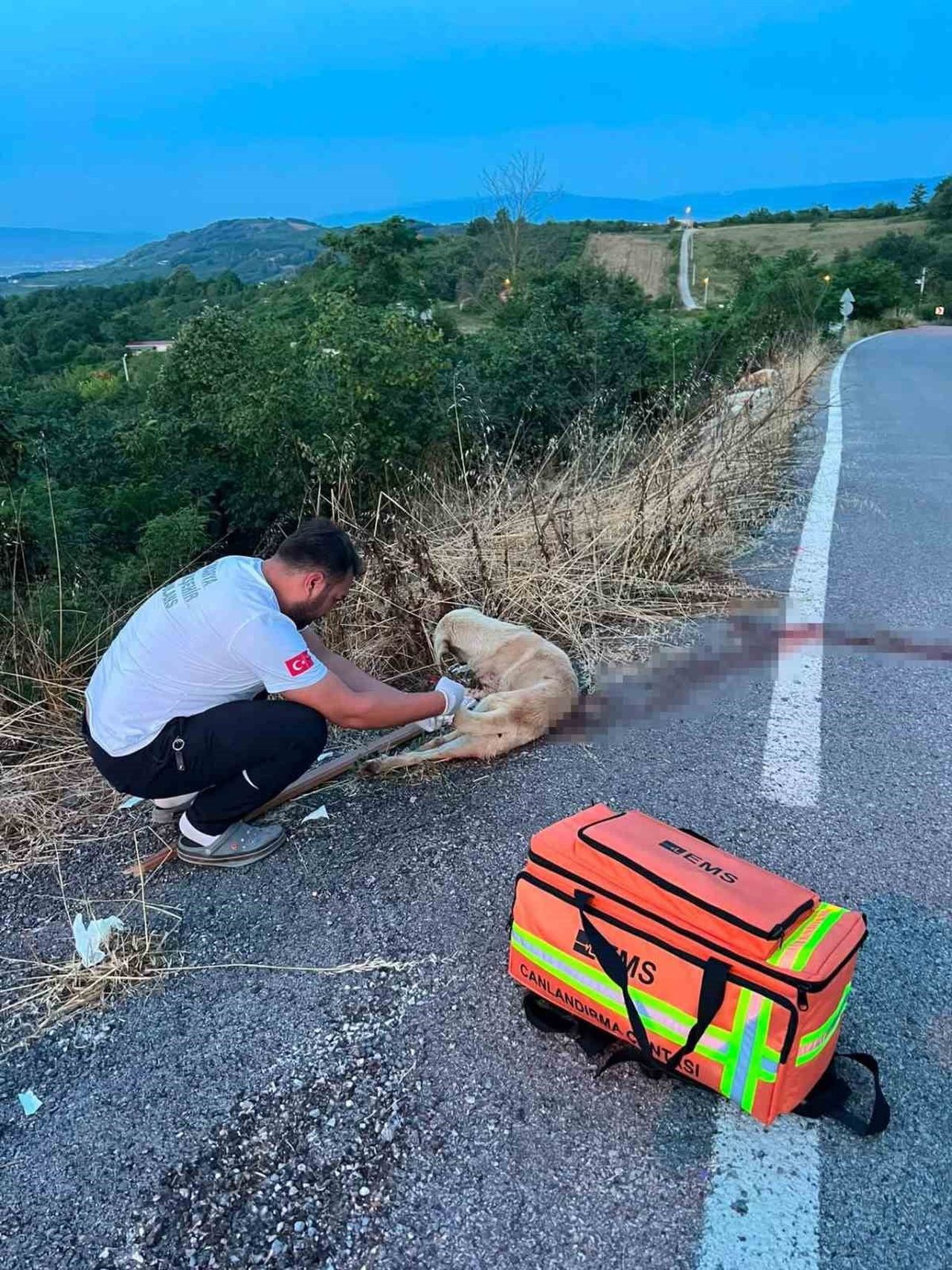 SAKARYA'NIN SERDİVAN İLÇESİNDE GÖREV DÖNÜŞÜNDE OLAN AMBULANS PERSONELİ, YOLUN ORTASINDA KANLAR...