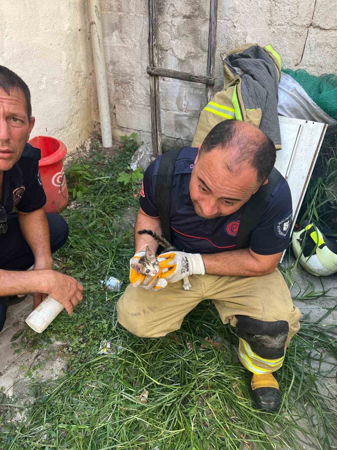 ERDEK'TE İKİ BİNA ARASINA SIKIŞAN YAVRU KEDİ KURTARILDI