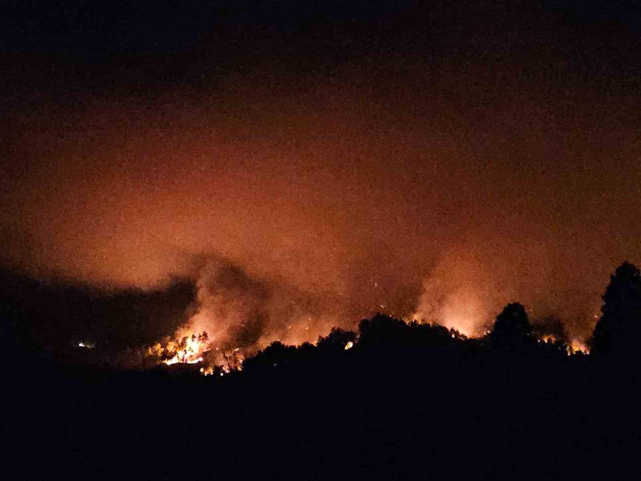 ANTALYA’NIN SERİK İLÇESİNDE ÇIKAN ORMAN YANGININI KONTROL ALTINA ALMA ÇALIŞMALARI HAVANIN...
