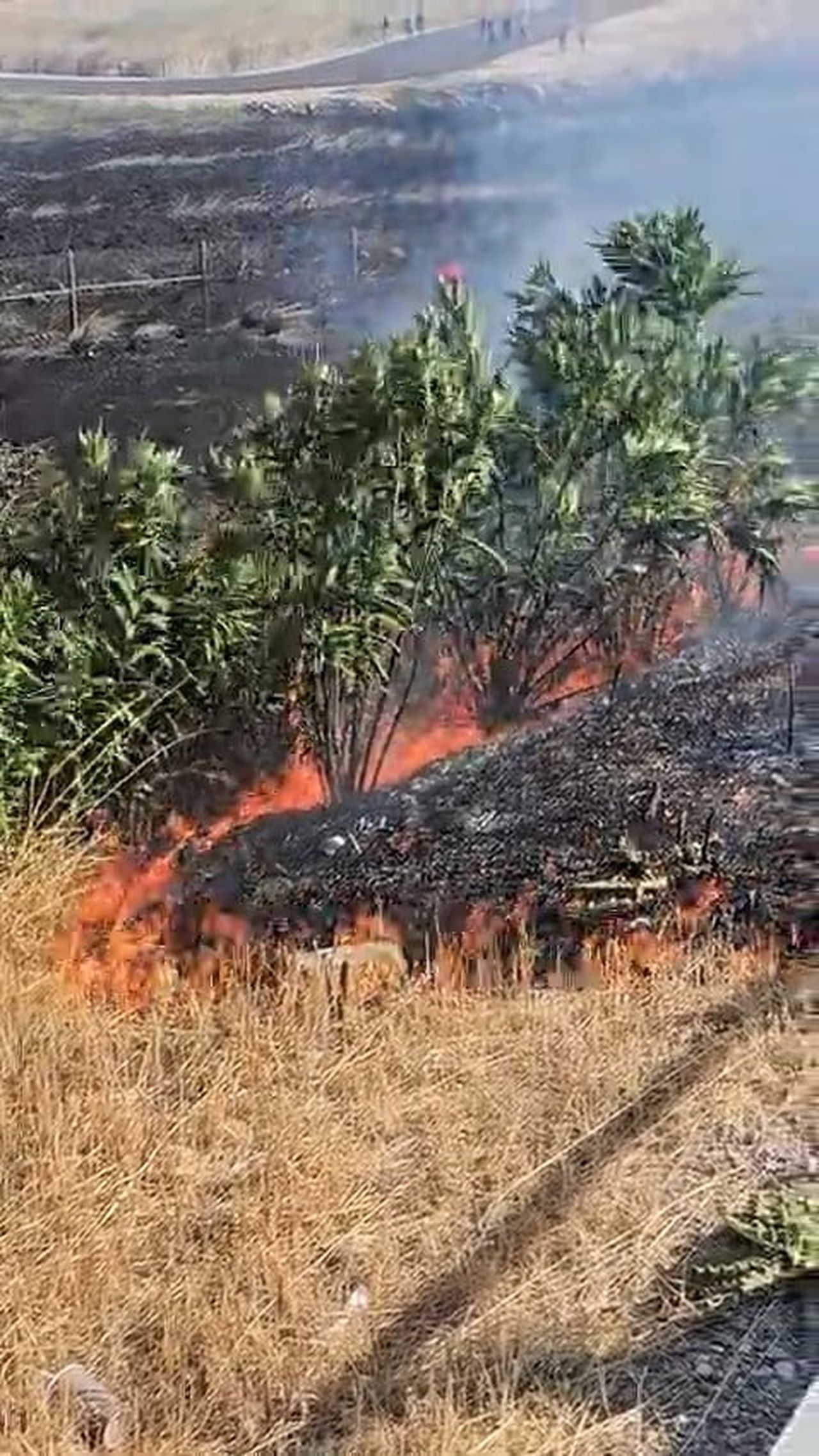 BURSA KARACABEY ÇIKIŞI OTOBANDA BOŞ ARAZİDE ÇIKAN YANGIN, EKİPLERİN MÜDAHALESİYLE...