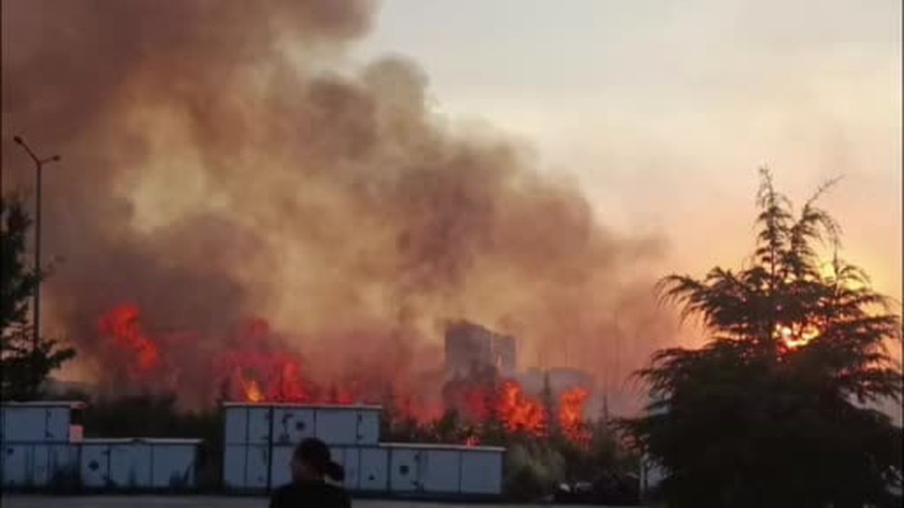 Ankara’da ağaçlık alandaki yangına ekipler müdahale ediyor