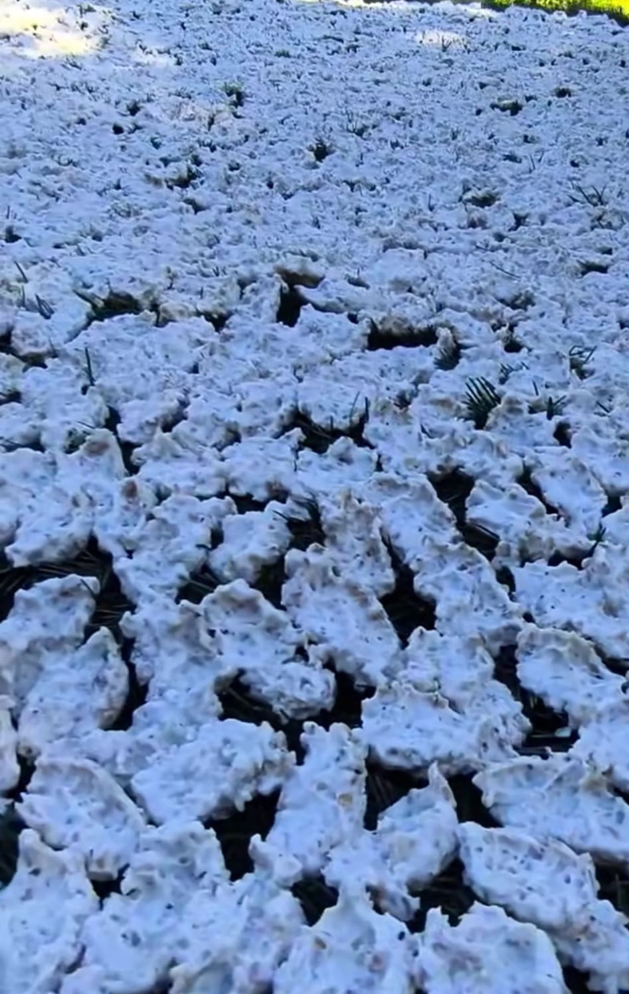 KAHRAMANMARAŞ’IN ANDIRIN İLÇESİNE BAĞLI ÇIĞŞAR MAHALLESİ’NDE, YAZ MEVSİMİNİN GELMESİYLE BİRLİKTE...
