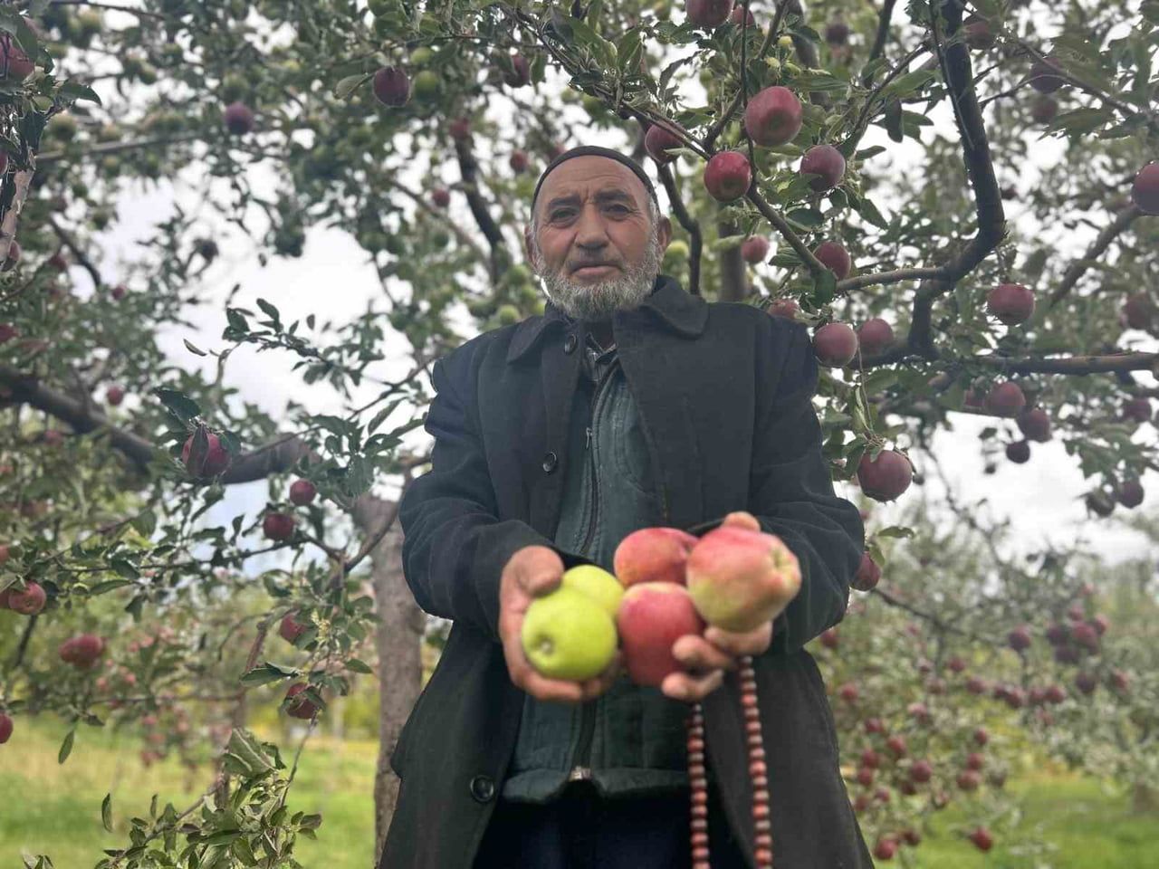 VAN'IN EDREMİT İLÇESİNDE 5 DÖNÜMLÜK ÇORAK ARAZİYİ YILLAR SÜREN ÇABASIYLA MEYVE BAHÇESİNE...