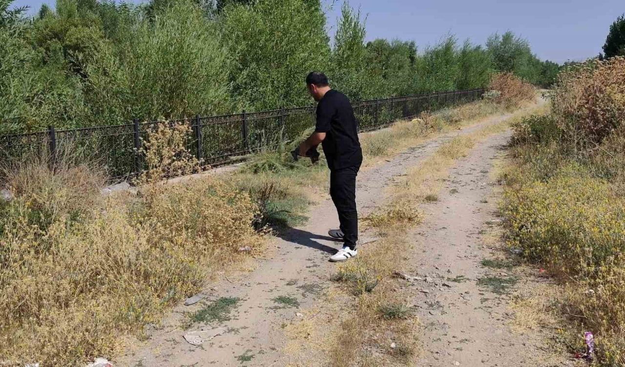 MUŞ'UN BULANIK İLÇESİNDE ÇARŞI MERKEZİNE NASIL GELDİĞİ BİLİNMEYEN KAPLUMBAĞA, DUYARLI BİR ESNAF...