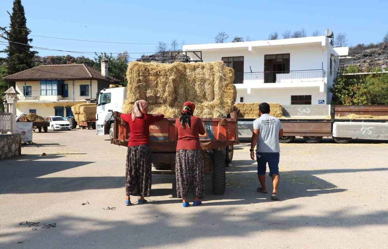 AKSU BELEDİYESİ, YANGINDAN ETKİLENEN VE HAYVANCILIKLA UĞRAŞAN VATANDAŞLARA YÖNELİK SAMAN...