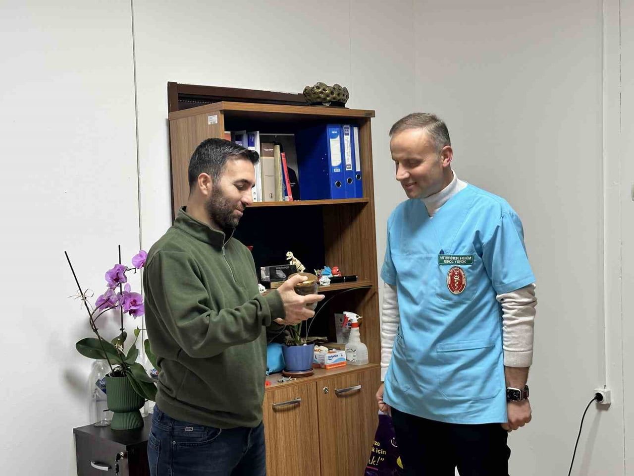 VETERİNER HEKİM BİROL YÜRÜK OPERASYONLA ÇIKARTILAN ARMUDU KASTAMONU ÜNİVERSİTESİ VETERİNER...