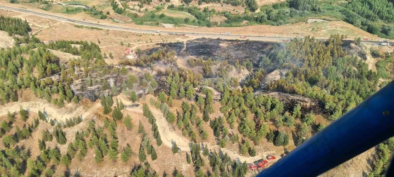 DENİZLİ'NİN PAMUKKALE İLÇESİNDE TOKİ KONUTLARININ YAKININDAKİ ORMANLIK ALANDA ÇIKAN YANGIN...