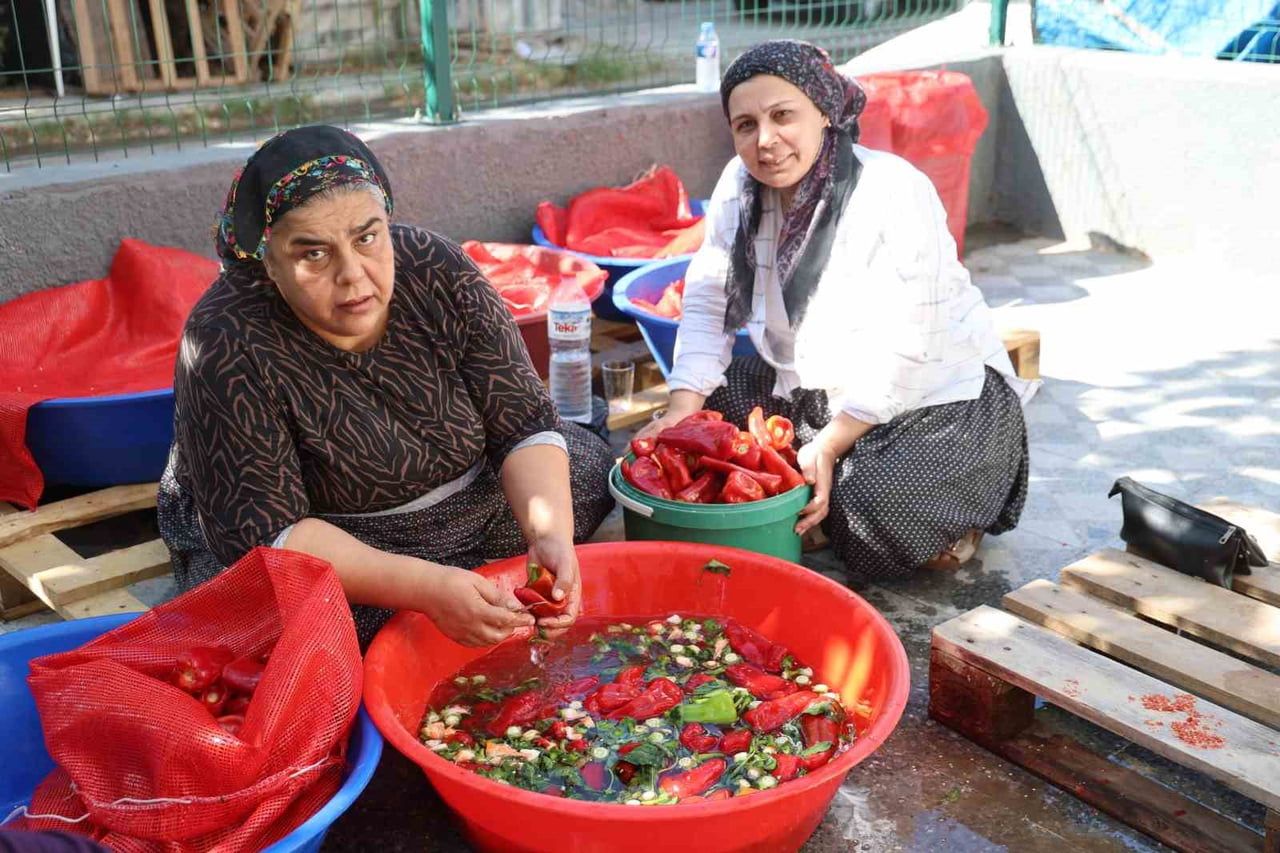 MÜRVET ÖZDOĞAN KOMŞULARI İLE BİRLİKTE BU YIL KIŞLIK SALÇA HAZRILIKLARININ BAŞLADIĞINI...