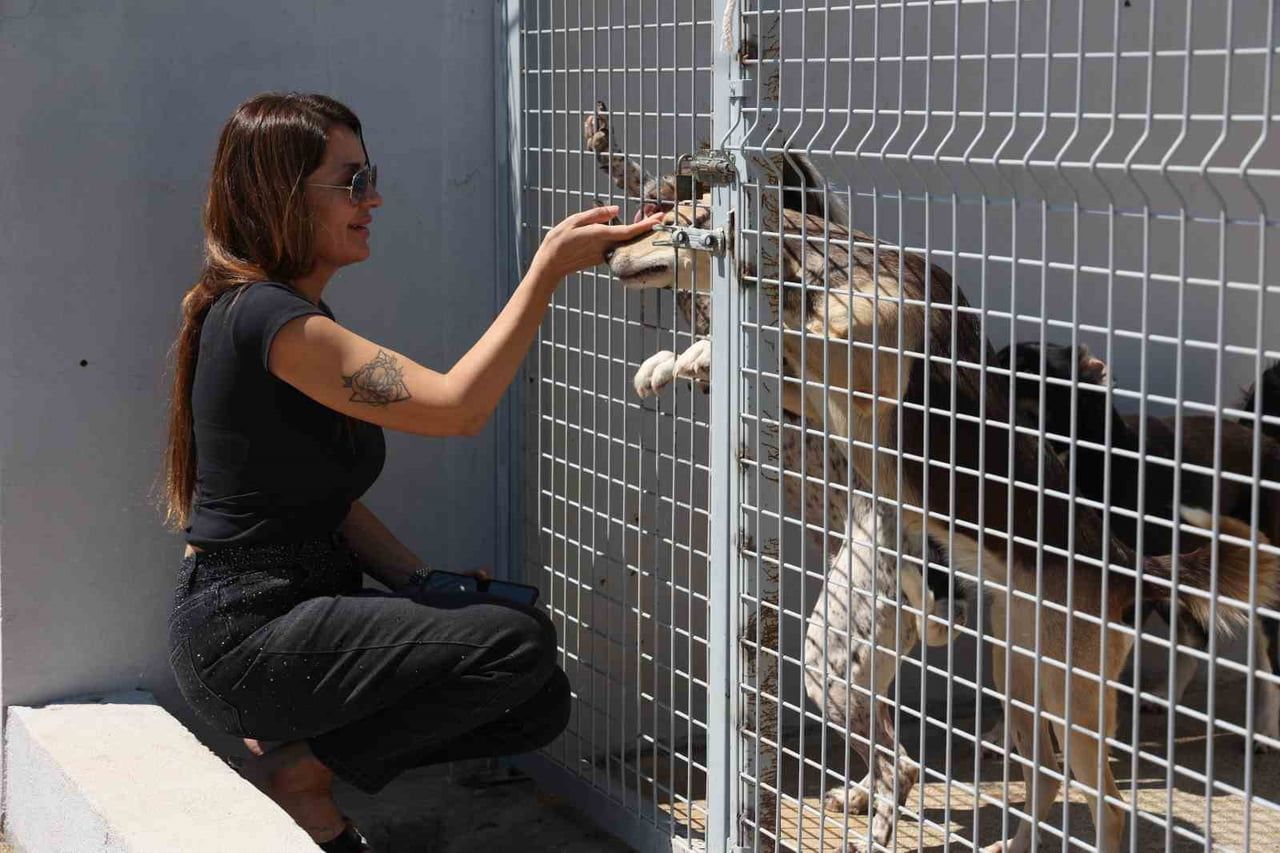 ANTALYA BÜYÜKŞEHİR BELEDİYESİ SOKAK HAYVANLARI GEÇİCİ BAKIMEVİ VE REHABİLİTASYON MERKEZİ, 42 BİN...