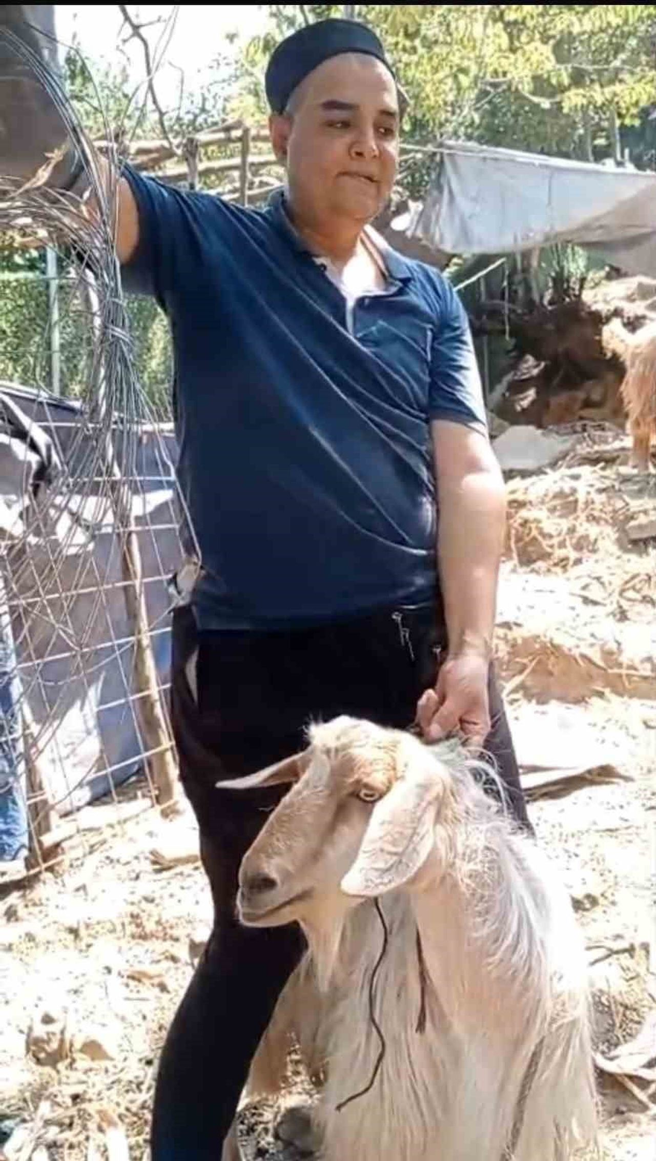 BURSA'DA BİR EVE GİRİP ETRAFI DAĞITAN YARAMAZ KEÇİ SOSYAL MEDYAYA DÜŞÜNCE ONU 4 GÜNDÜR ARAYAN...