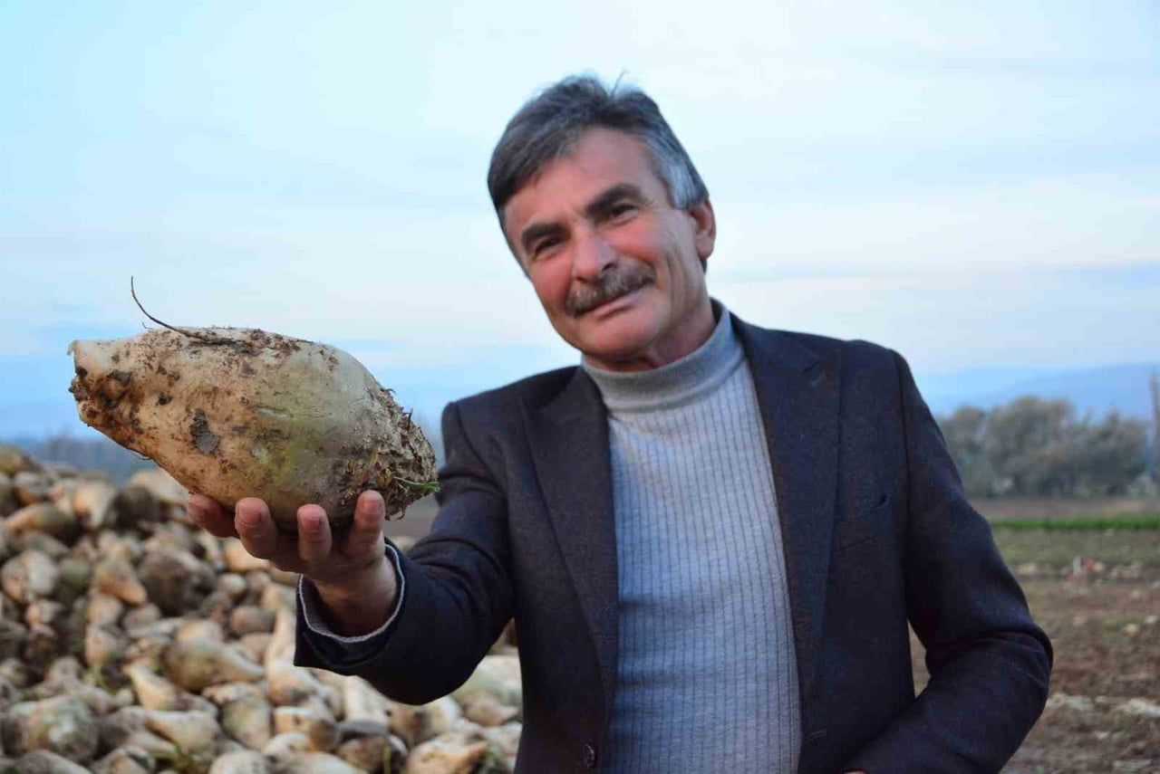 ÇORUM’DA ŞEKER PANCAR ÜRETİCİSİ 58 YAŞINDAKİ MUSTAFA ERTUĞRUL'UN PANCAR YETİŞTİRENLERİN ZARAR...