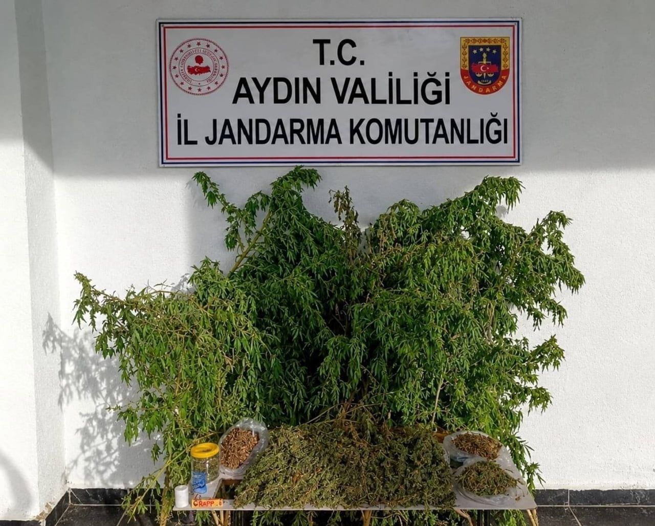 AYDIN'IN İNCİRLİOVA İLÇESİNDE BİR EVE YAPILAN UYUŞTURUCU BASKININDA 3 KİLO KUBAR ESRAR VE 47 KÖK...