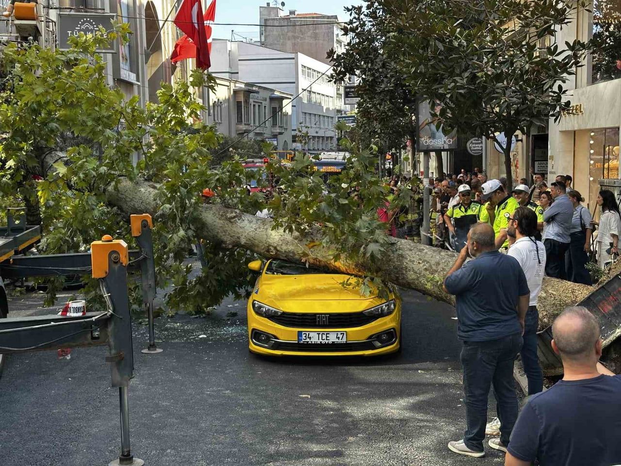 ŞİŞLİ'DE ARAÇLARIN ÜZERİNE DEVRİLEN ÇINAR AĞACI 3 SAATLİK ÇALIŞMANIN ARDINDAN...
