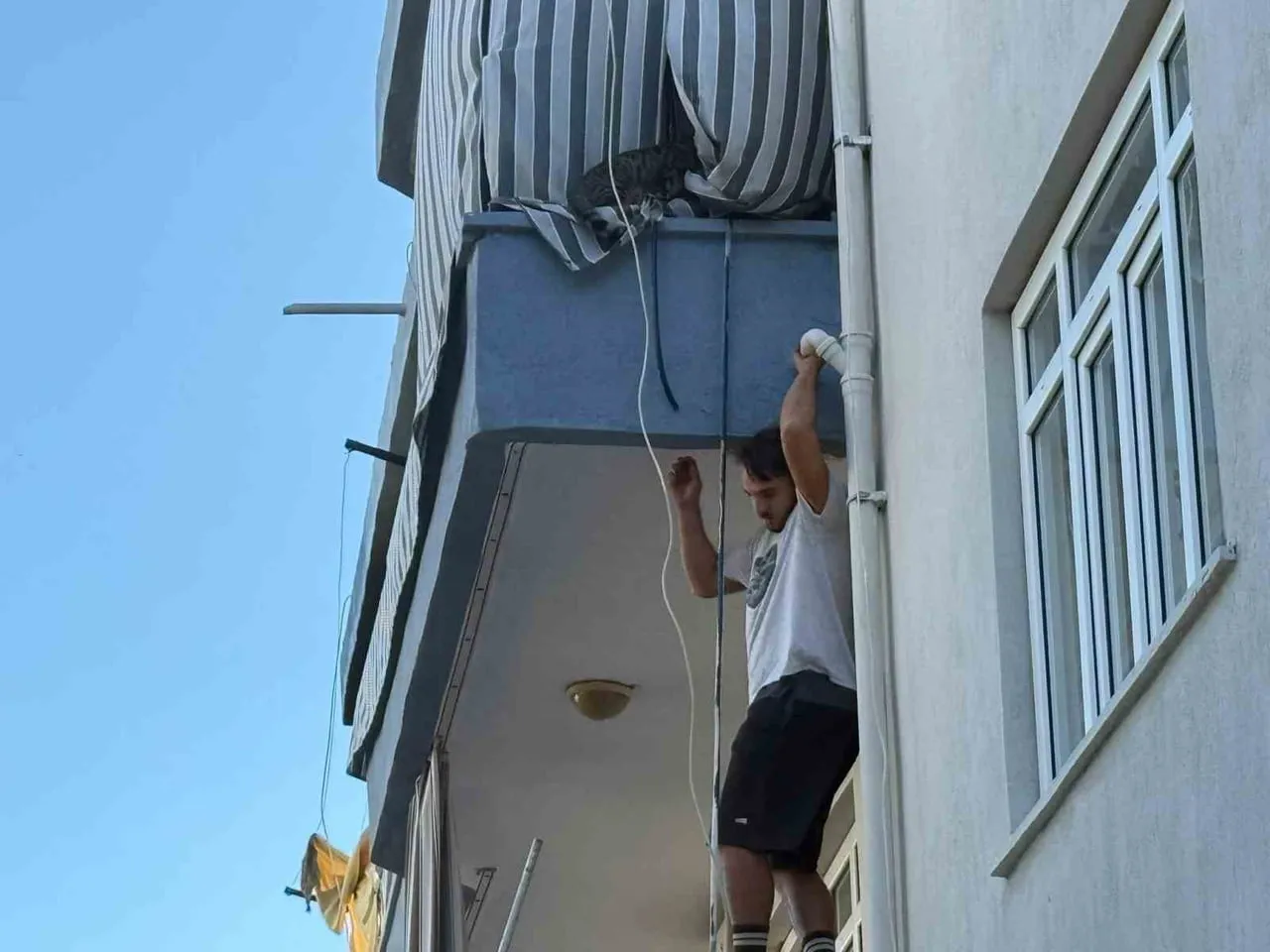 APARTMANDA KİRACI OLARAK İKAMET EDEN MUZAFFER YILDIZ İSİMLİ GENÇ, EV SAHİBİNİN DAİRESİNDE KEDİNİN...