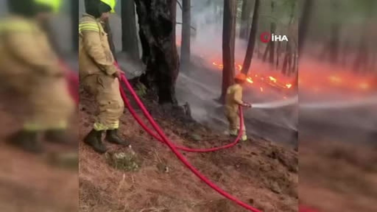 Manavgat’ta meydana gelen yangının enerjisi düşürüldü