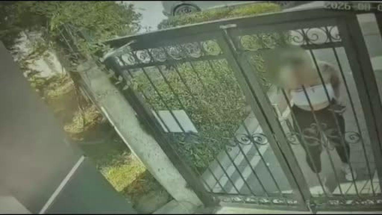 Sevgili rolüyle gasp yapan çeteye operasyon: 5 gözaltı