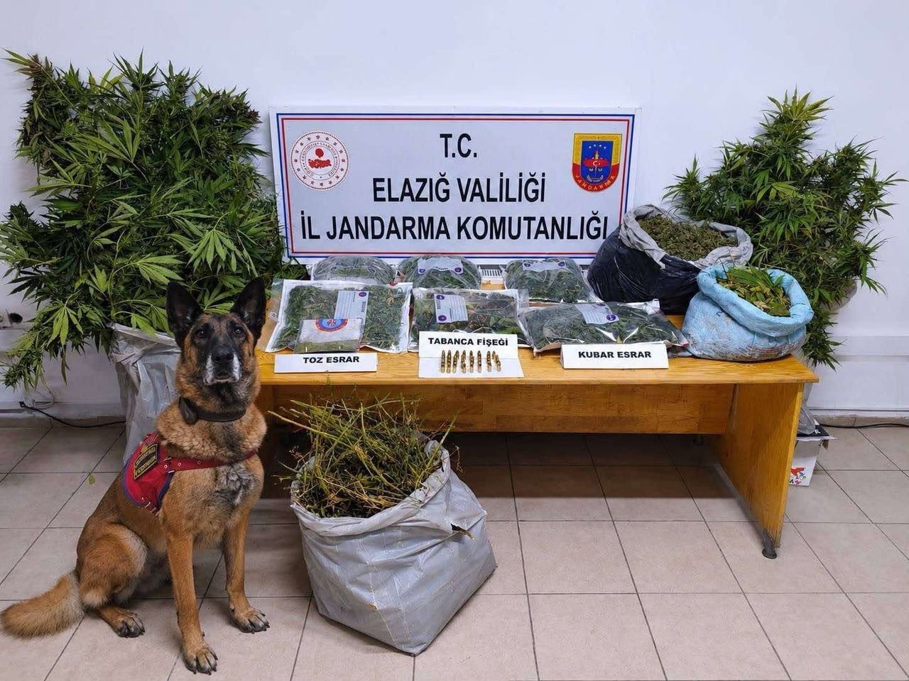 ELAZIĞ’DA JANDARMANIN DÜZENLEDİĞİ UYUŞTURUCU OPERASYONUNDA ÇOK MİKTARDA UYUŞTURUCU VE MÜHİMMAT ELE...