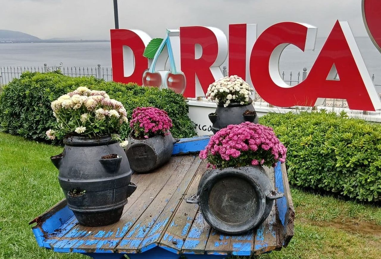 DARICA'DA GENELİNDEKİ PARK, BAHÇE VE ŞEHİTLİKLER MEVSİMLİK ÇİÇEKLERLE DONATILARAK İLÇE...