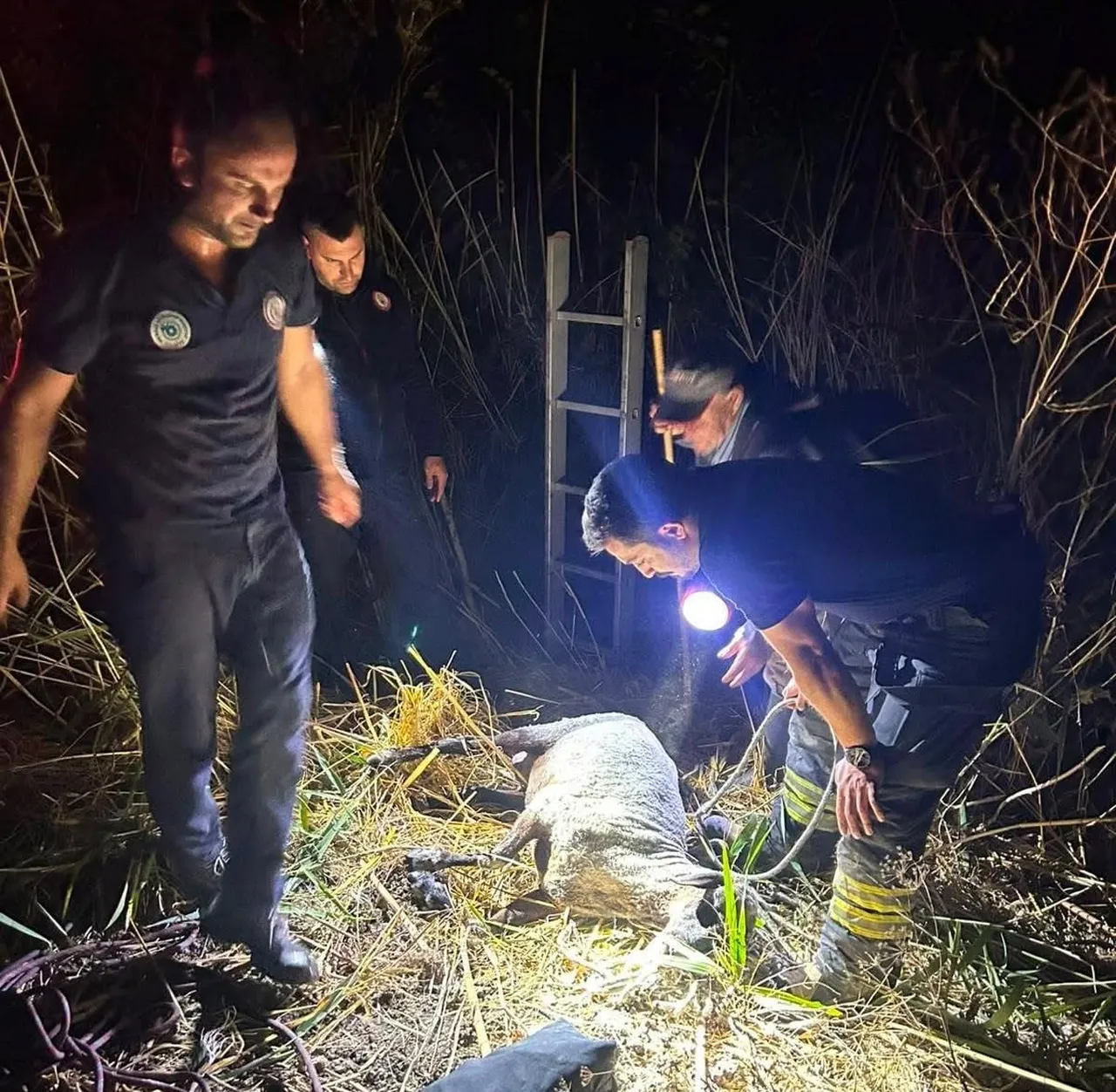 TEKİRDAĞ'DA YAKLAŞIK 7 METRE DERİNLİĞİNDEKİ SU KUYUSUNA DÜŞEN KOYUN, İTFAİYE EKİPLERİNİN...