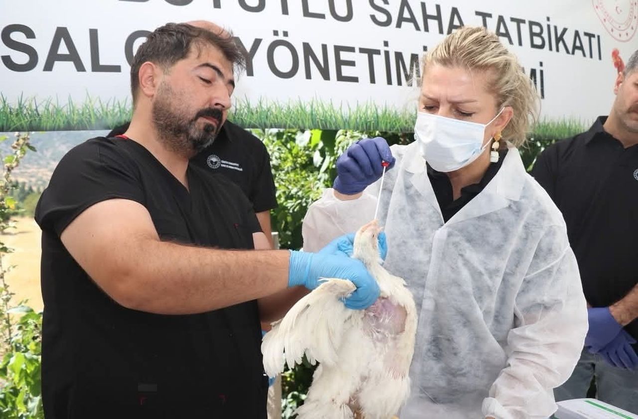 ELAZIĞ’DA KUŞ GİRİBİNE KARŞI SAHA UYGULAMASI YAPILDI.
