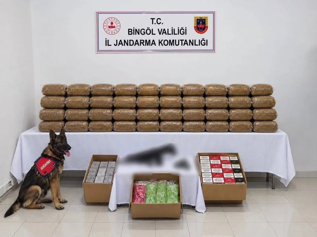 BİNGÖL’DE JANDARMADAN BİR HAFTADA 4 FİRARİ HÜKÜMLÜYE YAKALAMA