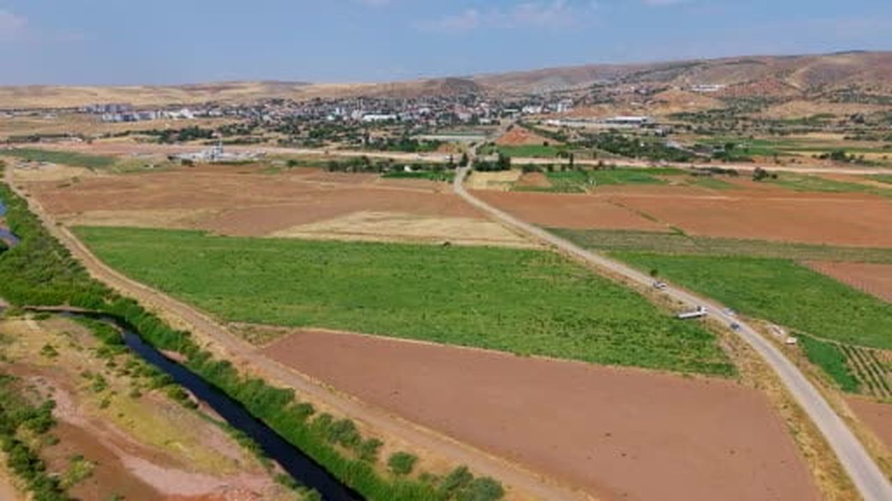 Kavun hasadı üreticinin yüzünü güldürdü: Rekolte de kalite de yüksek