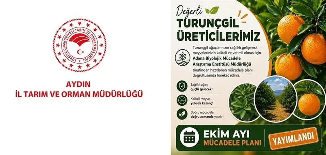 AYDIN İL TARIM VE ORMAN MÜDÜRLÜĞÜ, TURUNÇGİL ÜRETİCİLERİNİ EKİM AYINDA BAHÇELERİNDE...