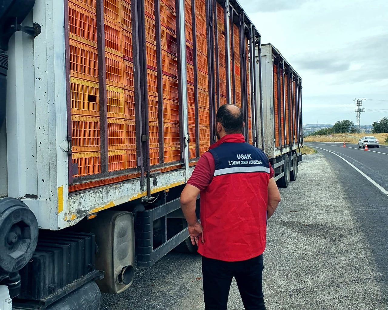 UŞAK’TA HAYVAN HASTALIKLARININ ÖNLENMESİ VE HAYVAN SAĞLIĞININ KORUNMASI AMACIYLA KENT GENELİNDE...