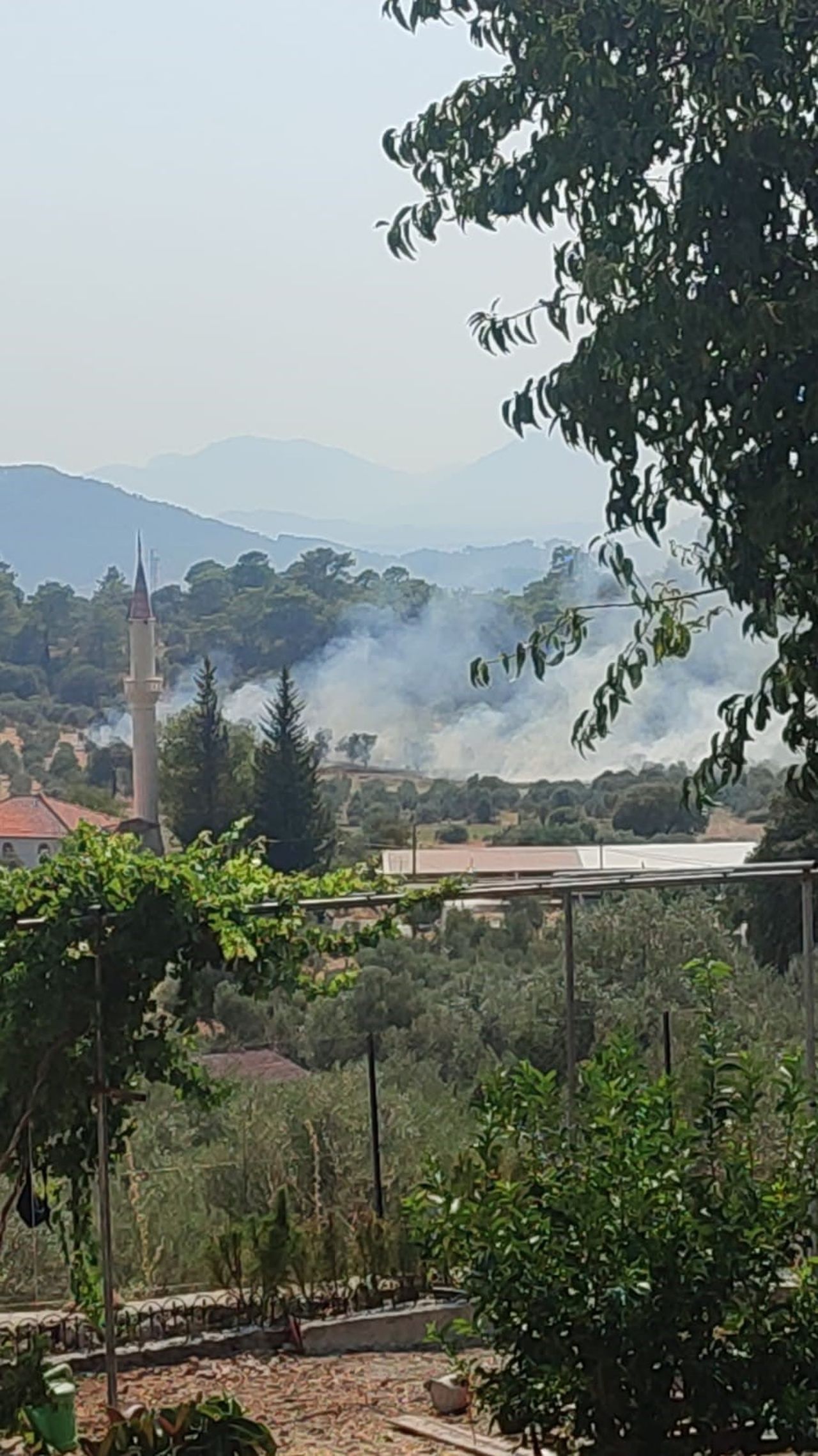 MUĞLA'NIN DALAMAN İLÇESİNDE ÇIKAN ORMAN YANGINI EKİPLERİN HAVADAN VE KARADAN HIZLI MÜDAHALESİ İLE...
