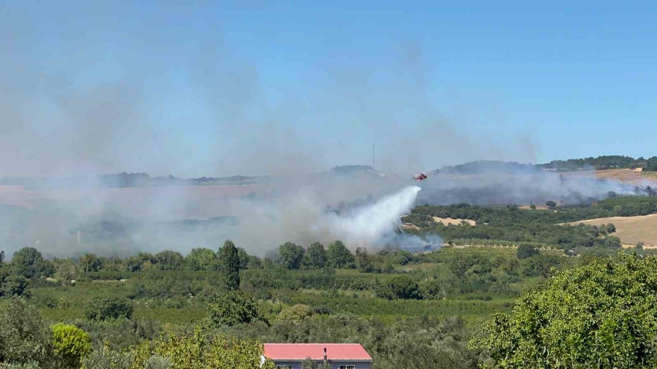 ÇANAKKALE'NİN LAPSEKİ İLÇESİNDE TARIM ARAZİSİNDE BAŞLAYAN YANGINA ORMAN BÖLGE MÜDÜRLÜĞÜ...