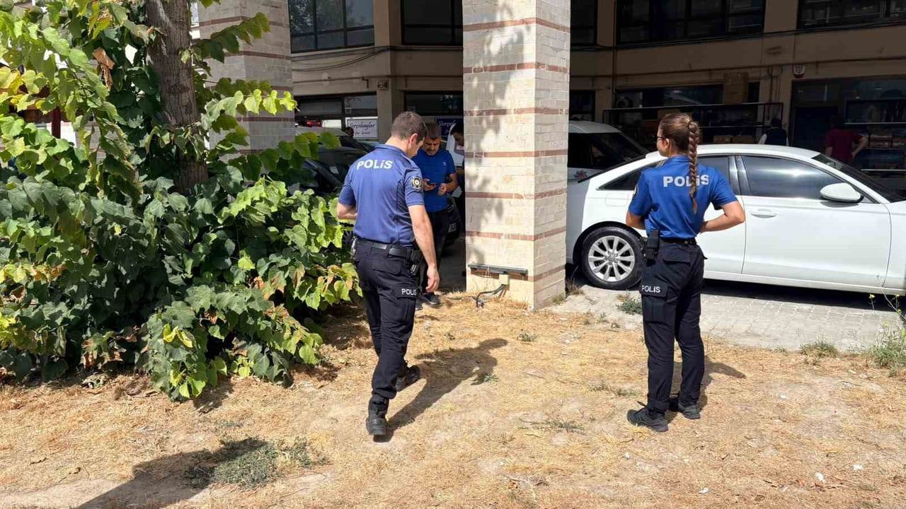 KÜTAHYA'DA ESNAF TARAFINDAN BESLENEN BİR KEDİ, BACAKLARI KESİLMİŞ VE TELEF OLMUŞ HALDE BULUNDU....