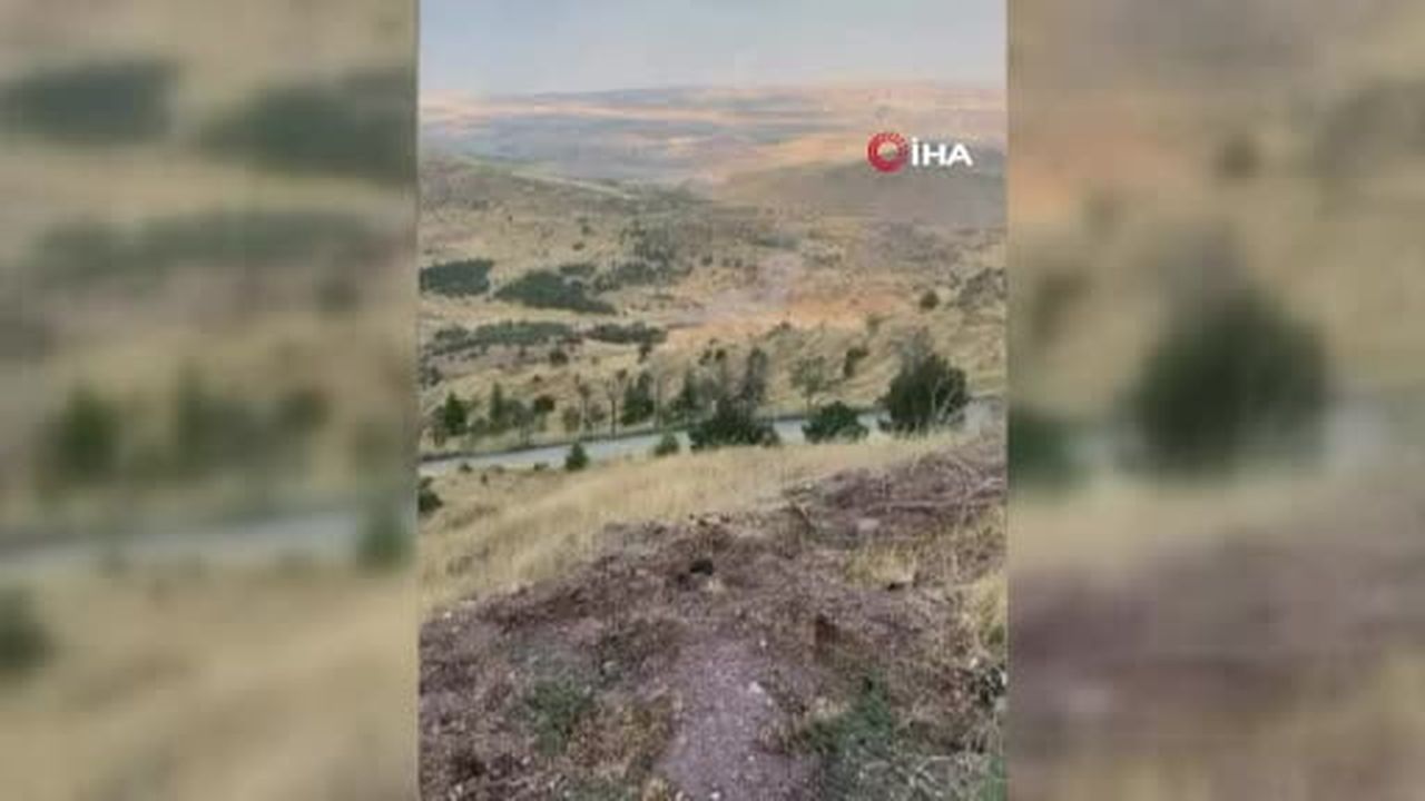 Ankara'da ağaçlık alanda meydana gelen yangının başlama anı kamerada