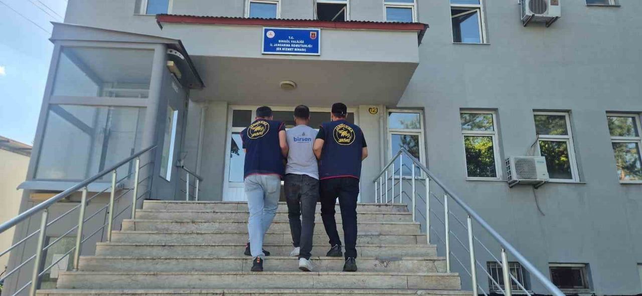 BİNGÖL’DE 5 BİN 176 KÖK KENEVİR ELE GEÇİRİLDİ: 2 ŞÜPHEYİ TUTUKLANDI.