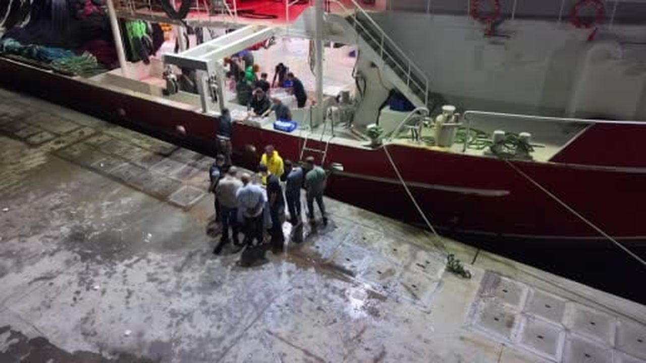 Av yasağının bitmesiyle İstanbul’da sezonun ilk balıkları bu gece avlandı