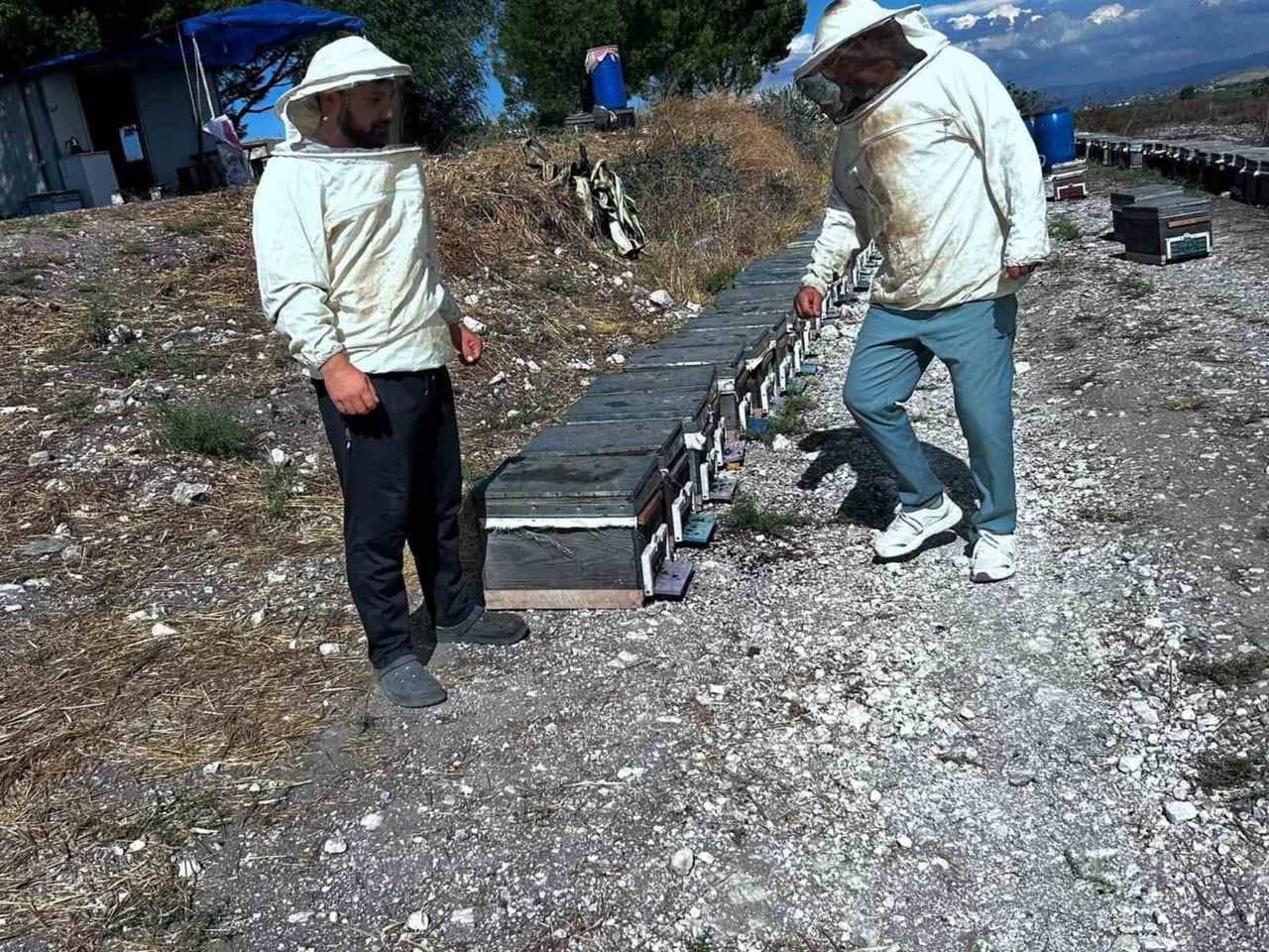 AYDIN’IN DİDİM İLÇESİNDE ARICILIĞIN GELİŞTİRİLMESİ, ARI YETİŞTİRİCİLERİNİN DESTEKLENMESİ VE...