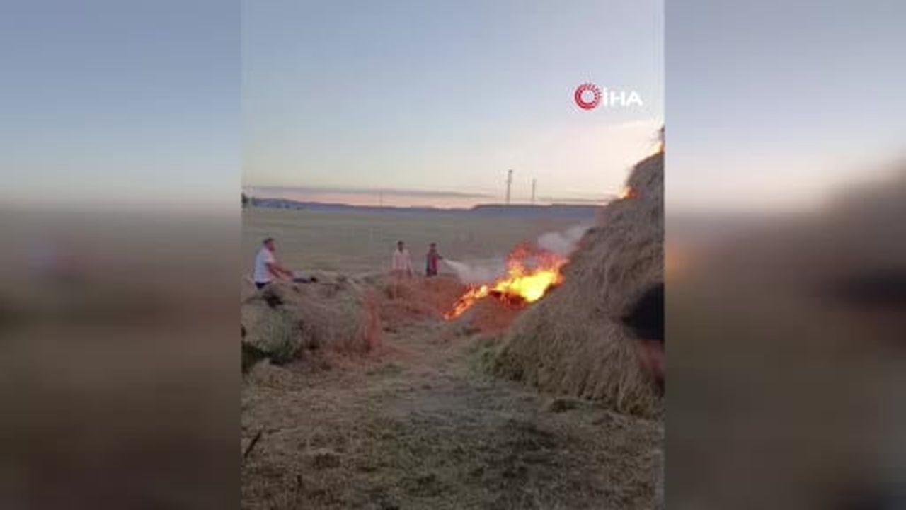 Tekman’da yüzlerce ot balyası yangında kül oldu