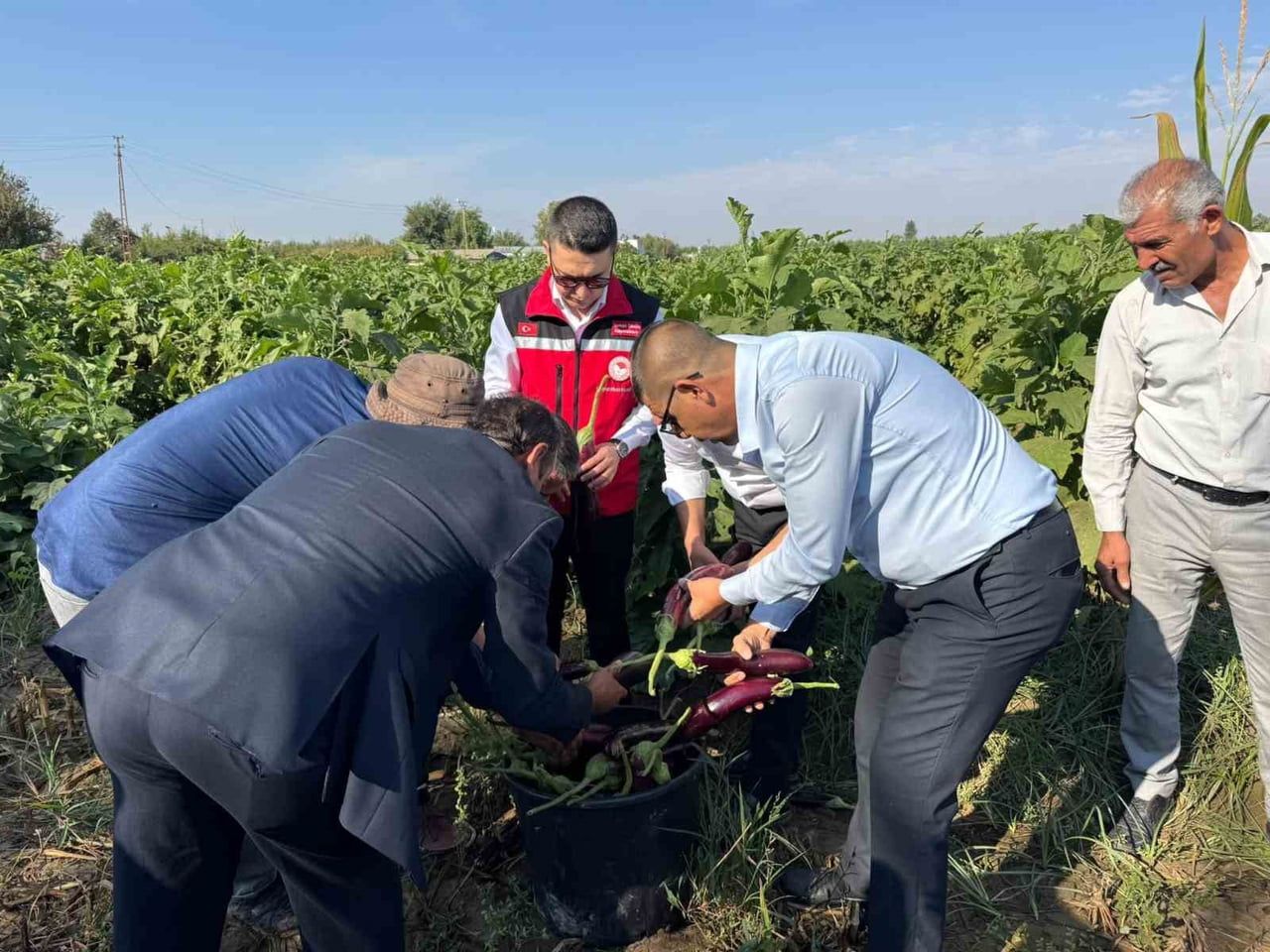 BİRECİK’TE KELAYNAK, PATLICAN VE FISTIK FESTİVALİ HASATLA BAŞLADI