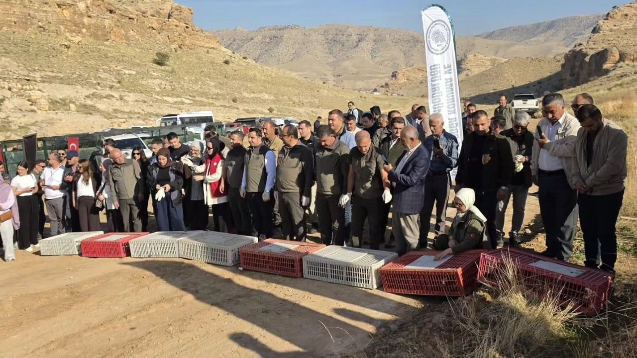 BATMAN'DA YABAN HAYATININ DESTEKLENMESİ, BİYOLOJİK ÇEŞİTLİLİĞİN KORUNMASI VE DOĞAL DENGENİN...