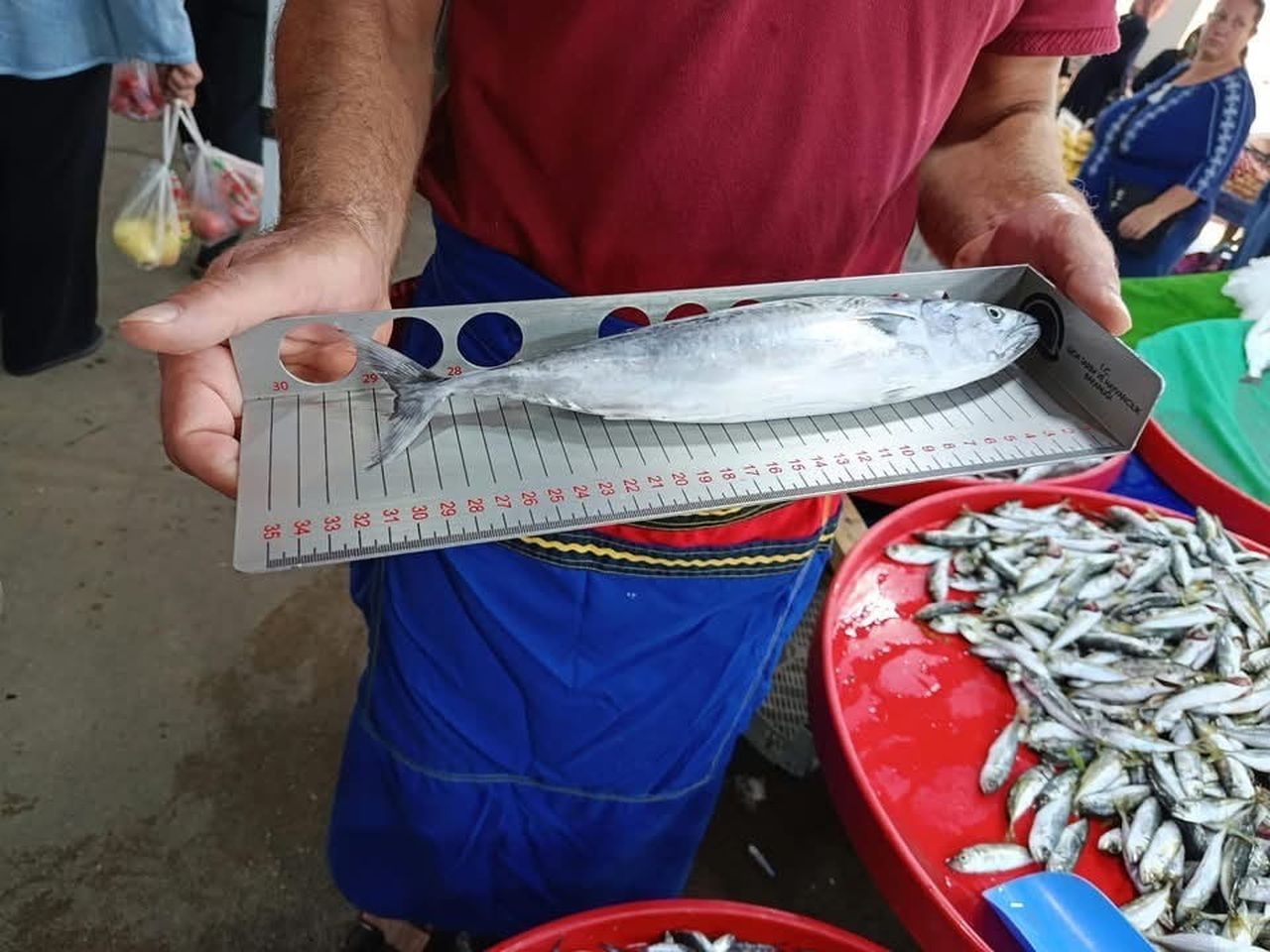 SU ÜRÜNLERİ KONTROL GÖREVLİLERİ TARAFINDAN YAPILAN DENETİMLERDE, SATIŞA SUNULAN BALIKLARIN...