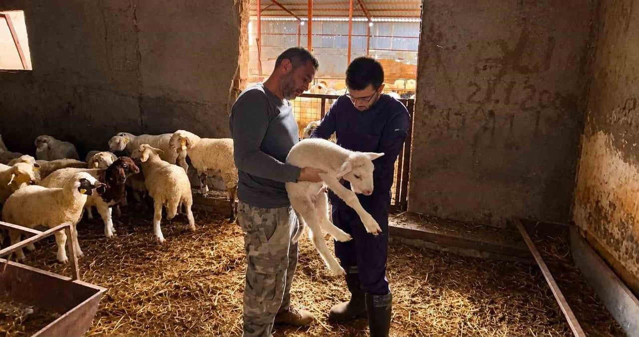 AFYONKARAHİSAR’DA HAYVAN SAĞLIĞININ KORUNMASI, BULAŞICI HAYVAN HASTALIKLARININ ÖNLENMESİ VE HAYVAN...