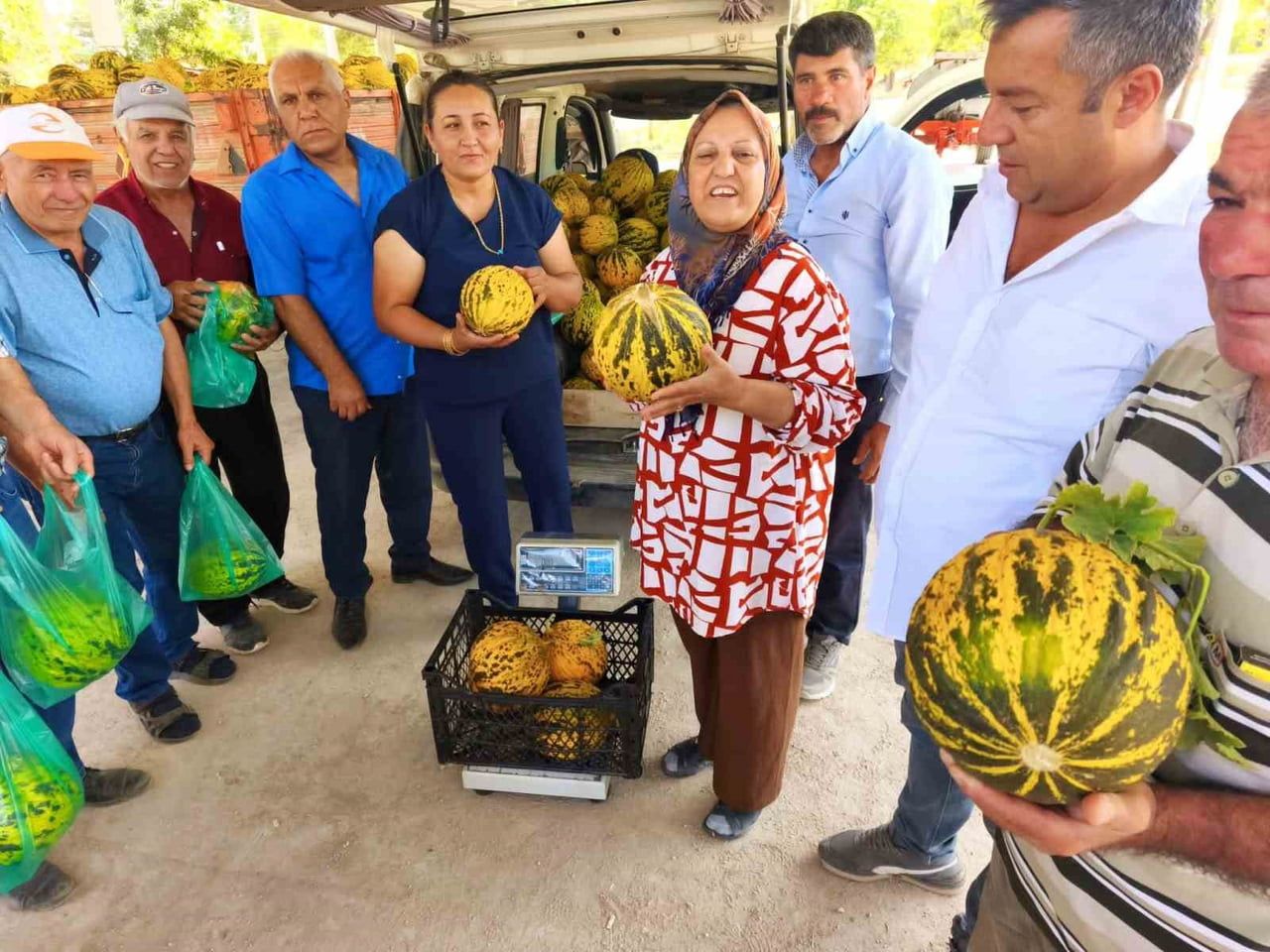AFYONKARAHİSAR’IN EVCİLER İLÇESİNE BAĞLI ALTINOVA KÖYÜNDE, TEK DAMLA SU VERİLMEDEN YETİŞTİRİLEN VE...