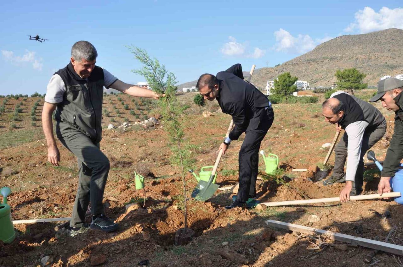HATIRA ORMANININ YENİDEN YEŞERTİLMESİ AMACIYLA AĞAÇLANDIRMA ETKİNLİĞİ DÜZENLENDİ.