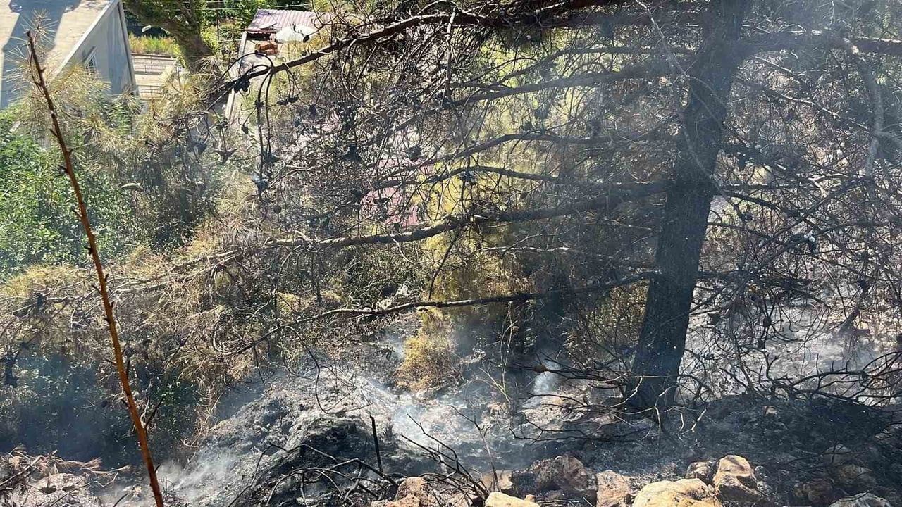 ANTALYA’NIN ALANYA İLÇESİNDE ÇALILIK ALANDA ÇIKAN YANGIN, EKİPLERİN KISA SÜREDE MÜDAHALESİYLE...