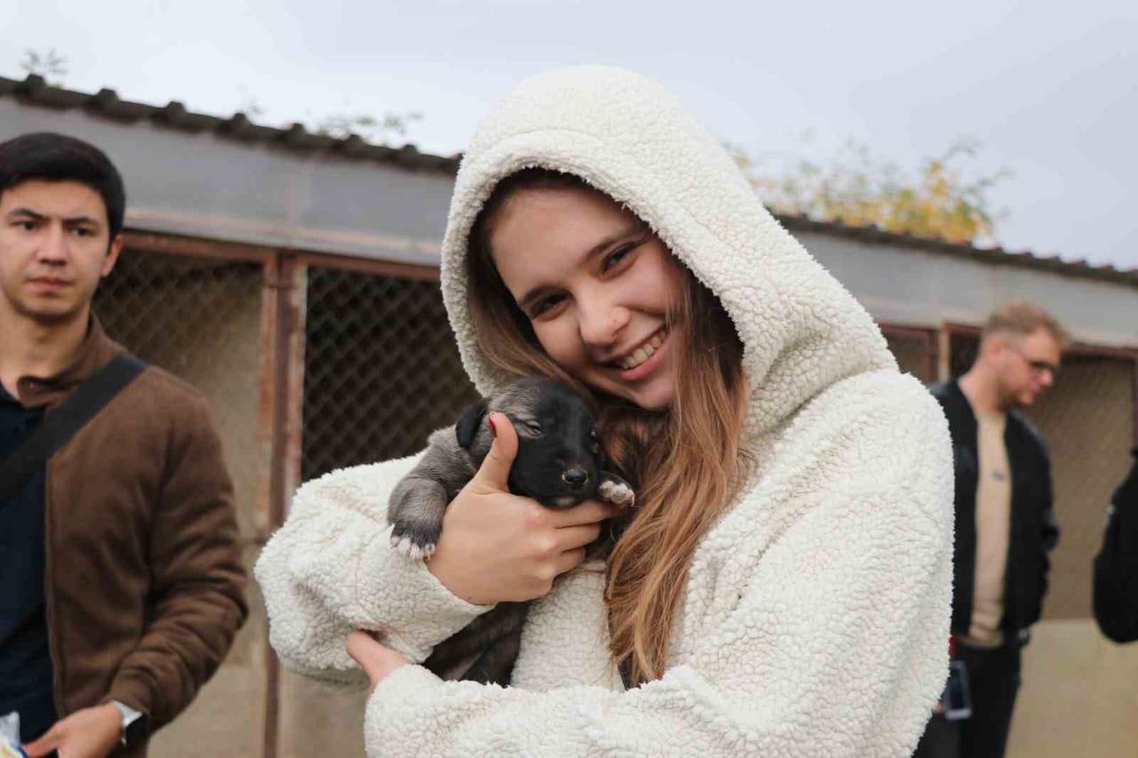 SİVAS’IN DÜNYACA ÜNLÜ MARKASI OLAN KANGAL KÖPEKLERİNİ GÖRMEK İSTEYEN YABANCI UYRUKLU ÖĞRENCİLER...