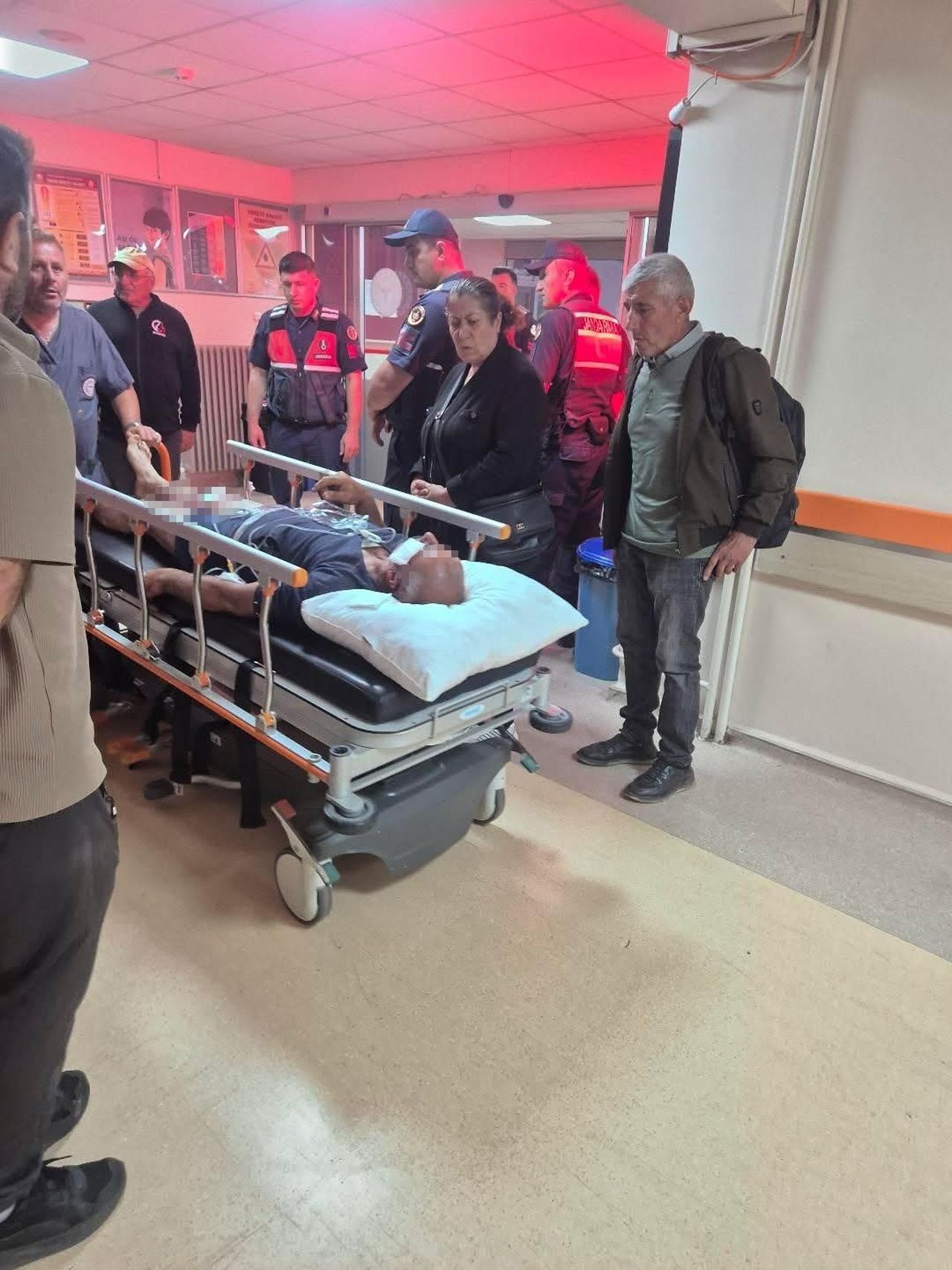 SİVAS’IN İMRANLI İLÇESİNDE AYI SALDIRISINA UĞRAYAN ALİ FETHİ ÜNAL, YANINDAKİ KÖPEKLERİN...